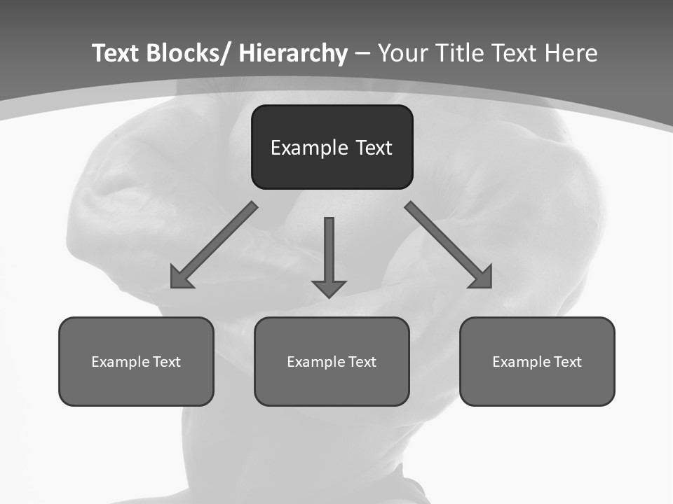 Six Packs Artistic White PowerPoint Template