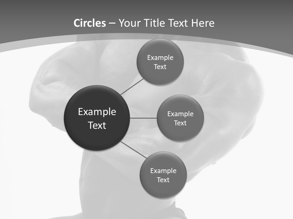 Six Packs Artistic White PowerPoint Template