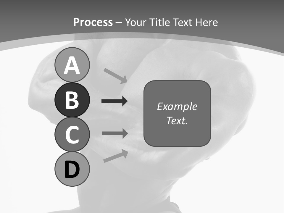 Six Packs Artistic White PowerPoint Template