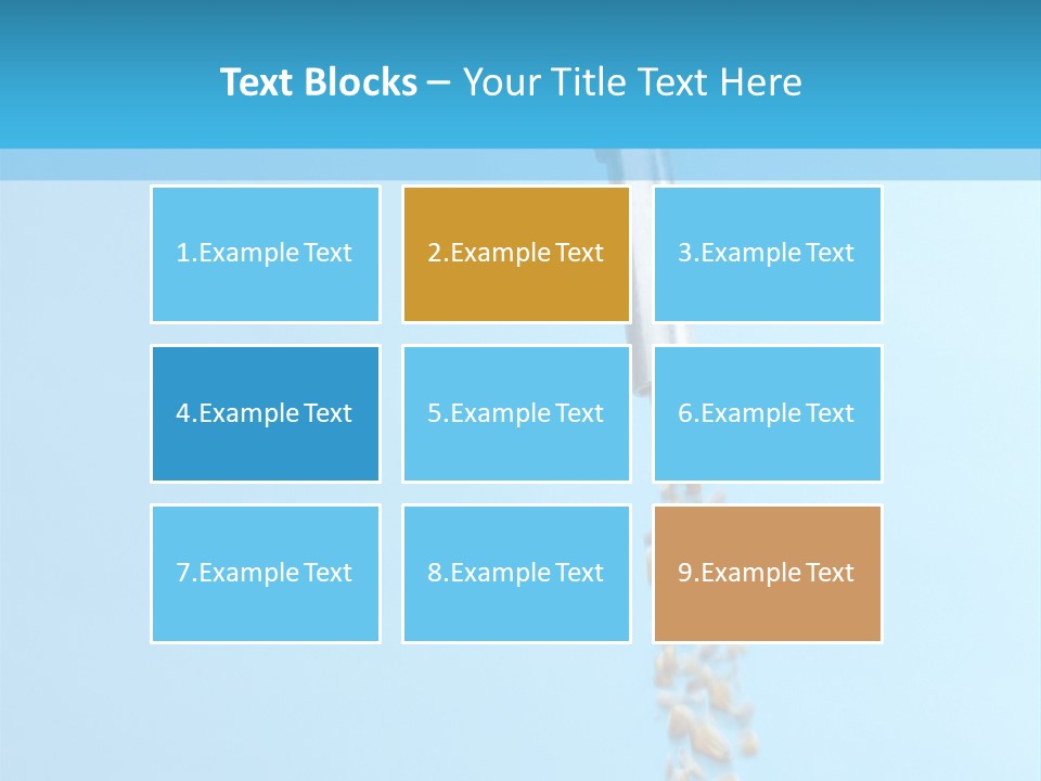 Gas Kernal Detail PowerPoint Template