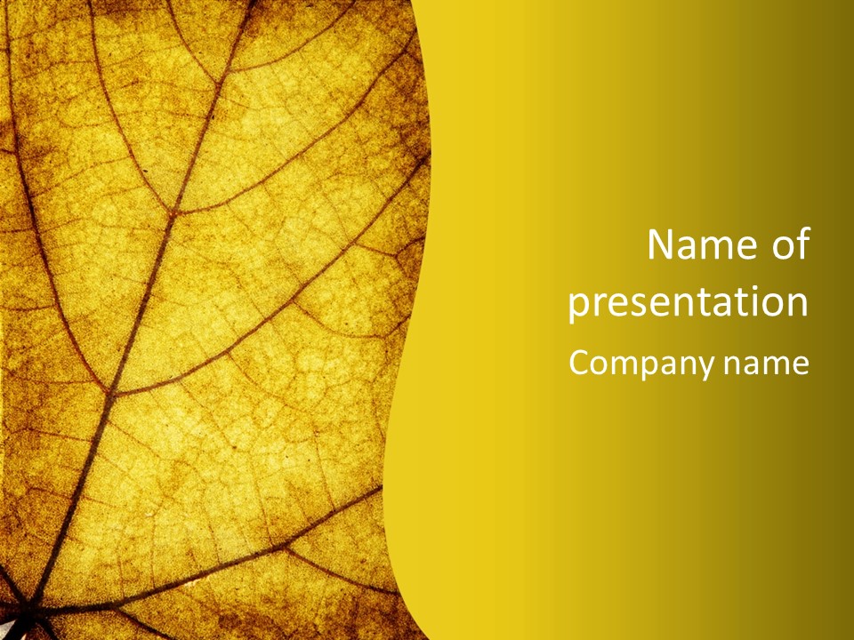 Shape Foliage Beauty PowerPoint Template