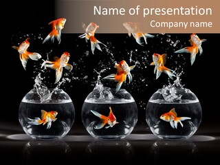 Fish Black Swimming PowerPoint Template