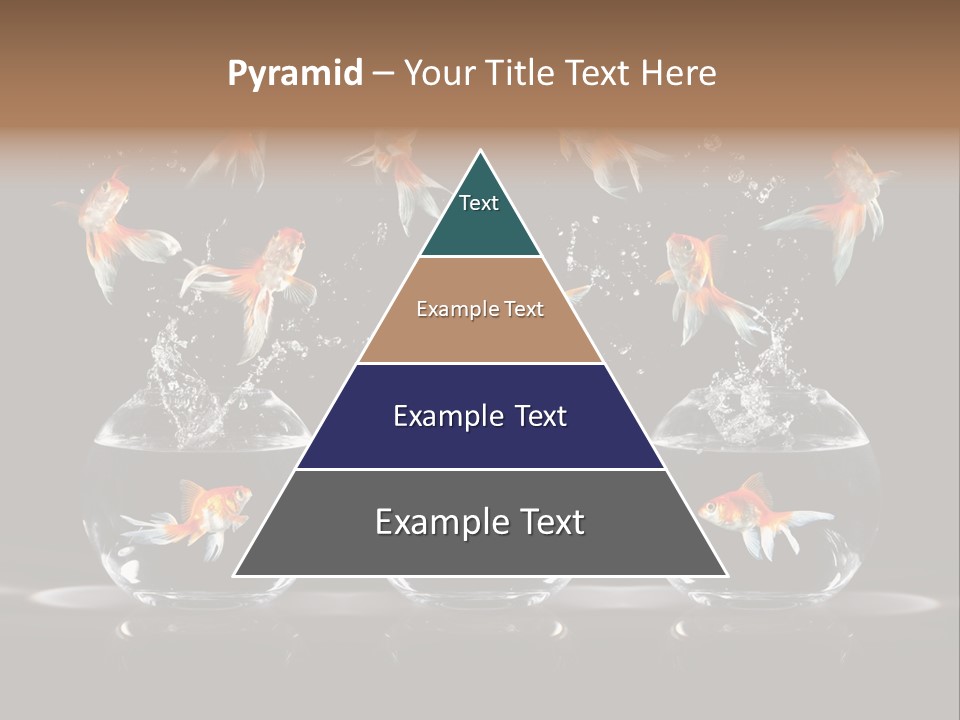 Fish Black Swimming PowerPoint Template