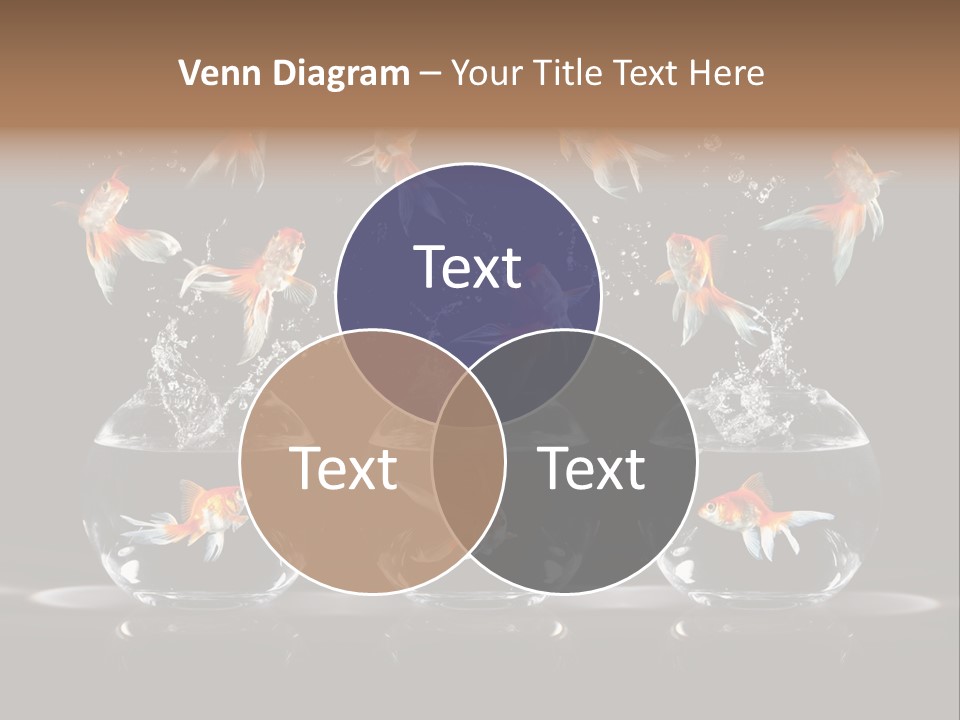 Fish Black Swimming PowerPoint Template