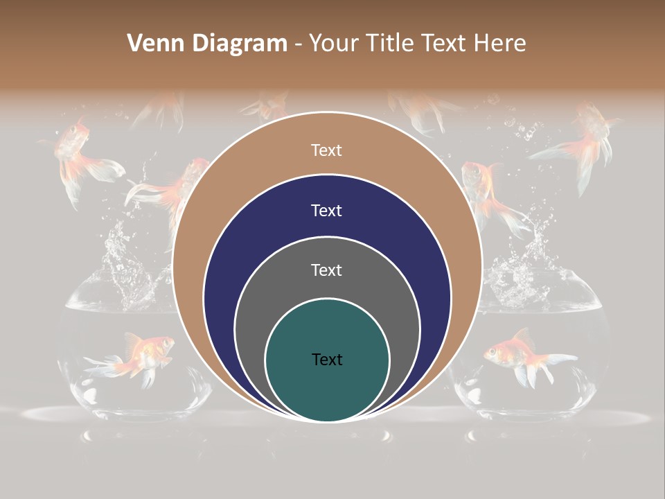 Fish Black Swimming PowerPoint Template