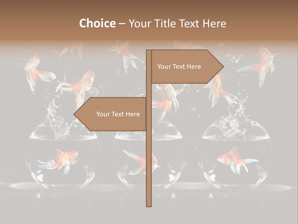 Fish Black Swimming PowerPoint Template