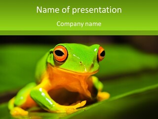 Eyed Zanthomera Tree PowerPoint Template