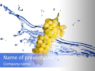 Summer Motion Bunch PowerPoint Template