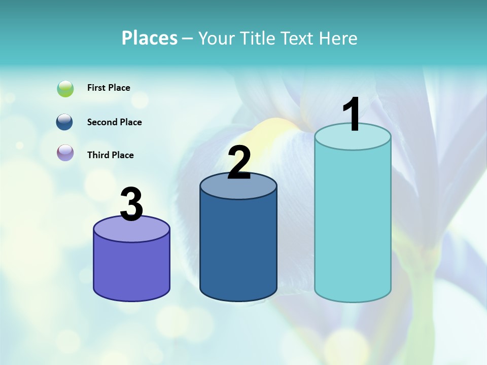 Blossom Bouquet Beauty PowerPoint Template