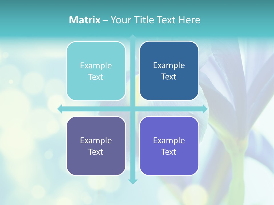 Blossom Bouquet Beauty PowerPoint Template