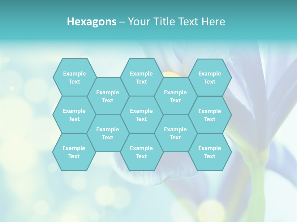 Blossom Bouquet Beauty PowerPoint Template