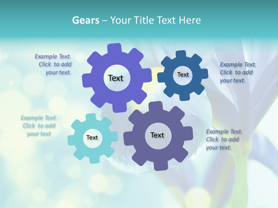 Blossom Bouquet Beauty PowerPoint Template