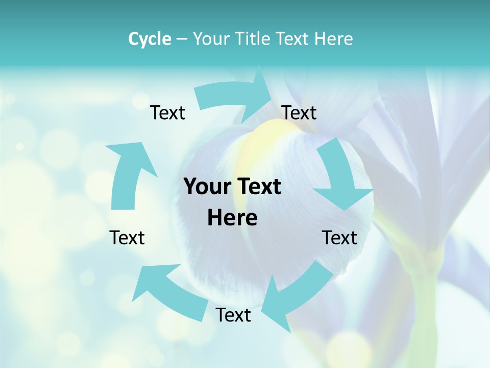 Blossom Bouquet Beauty PowerPoint Template