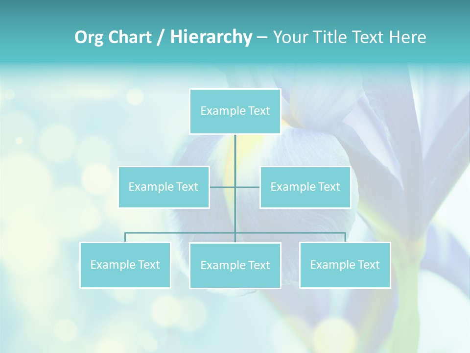 Blossom Bouquet Beauty PowerPoint Template