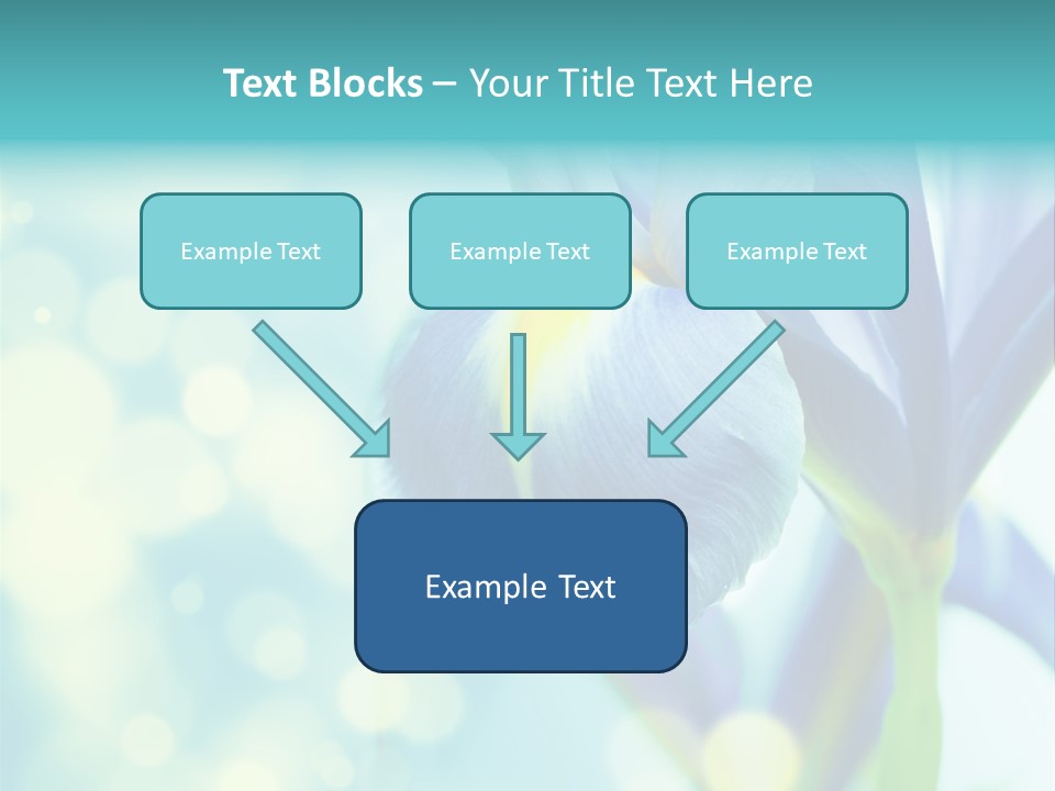 Blossom Bouquet Beauty PowerPoint Template