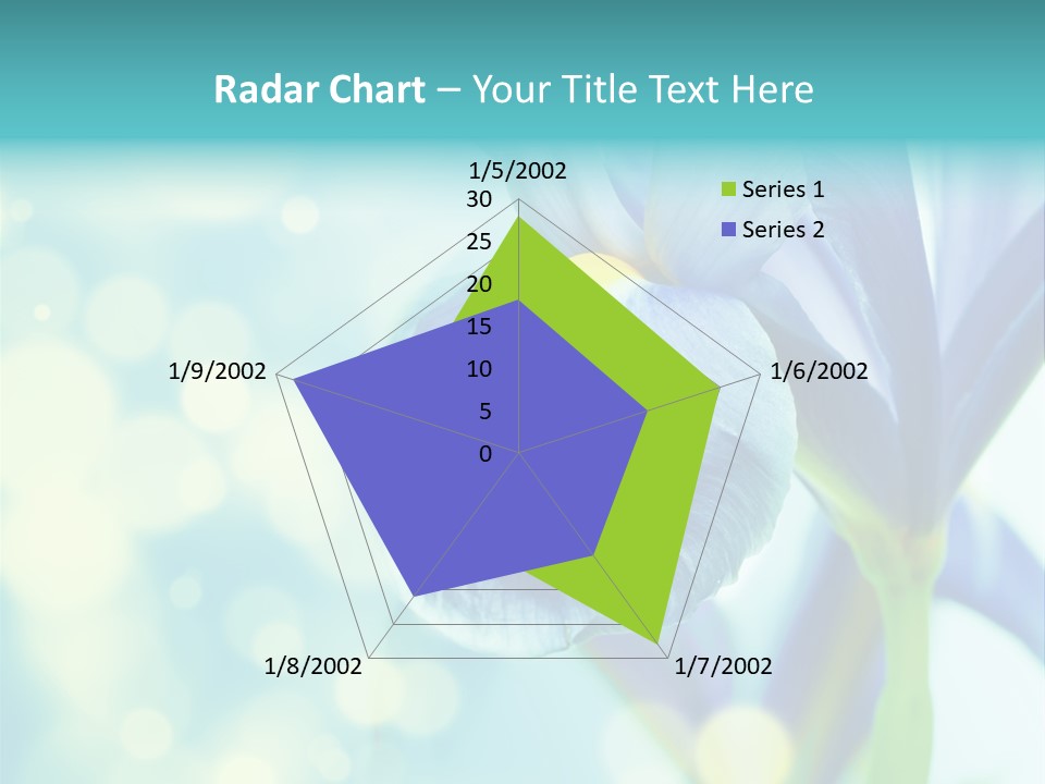 Blossom Bouquet Beauty PowerPoint Template