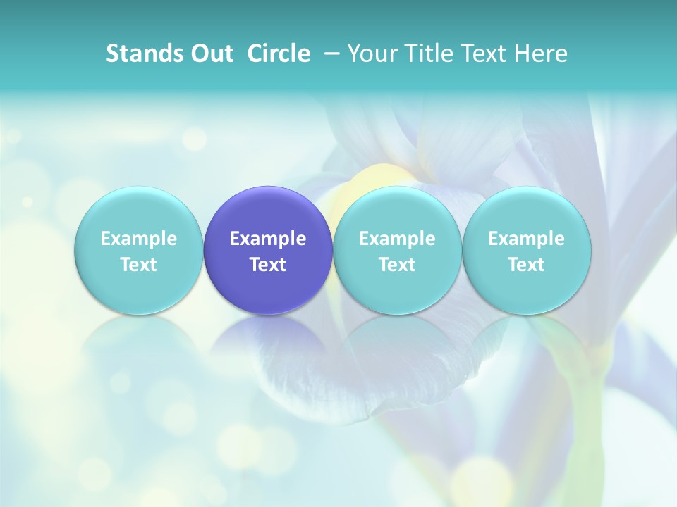 Blossom Bouquet Beauty PowerPoint Template