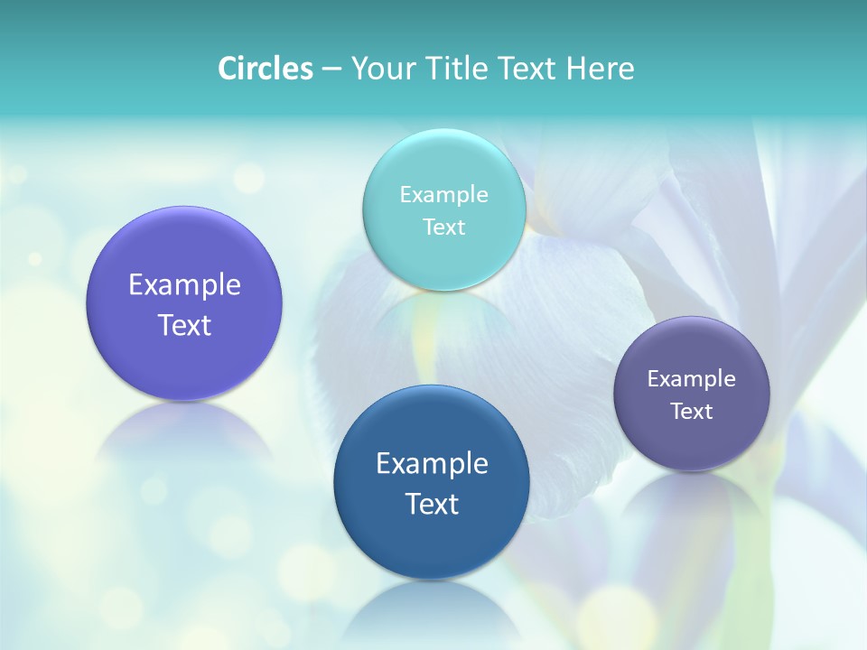 Blossom Bouquet Beauty PowerPoint Template