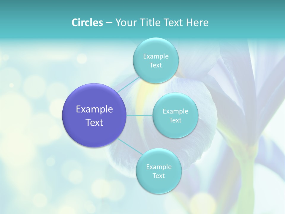 Blossom Bouquet Beauty PowerPoint Template