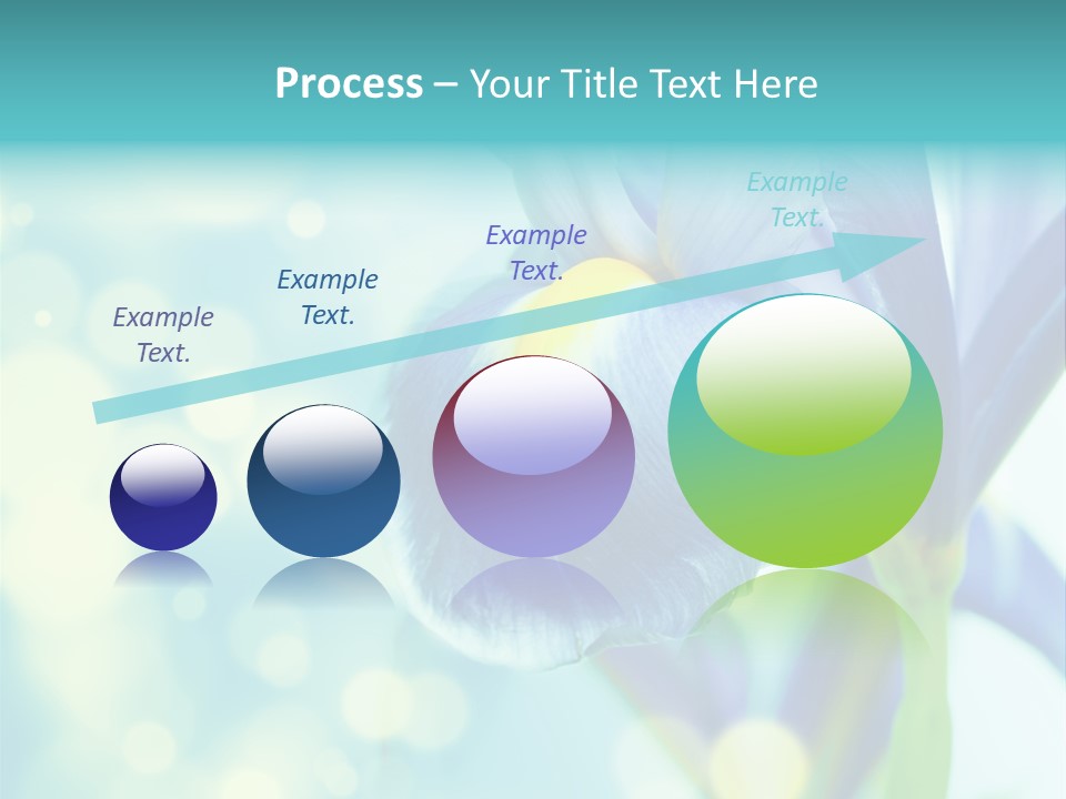 Blossom Bouquet Beauty PowerPoint Template