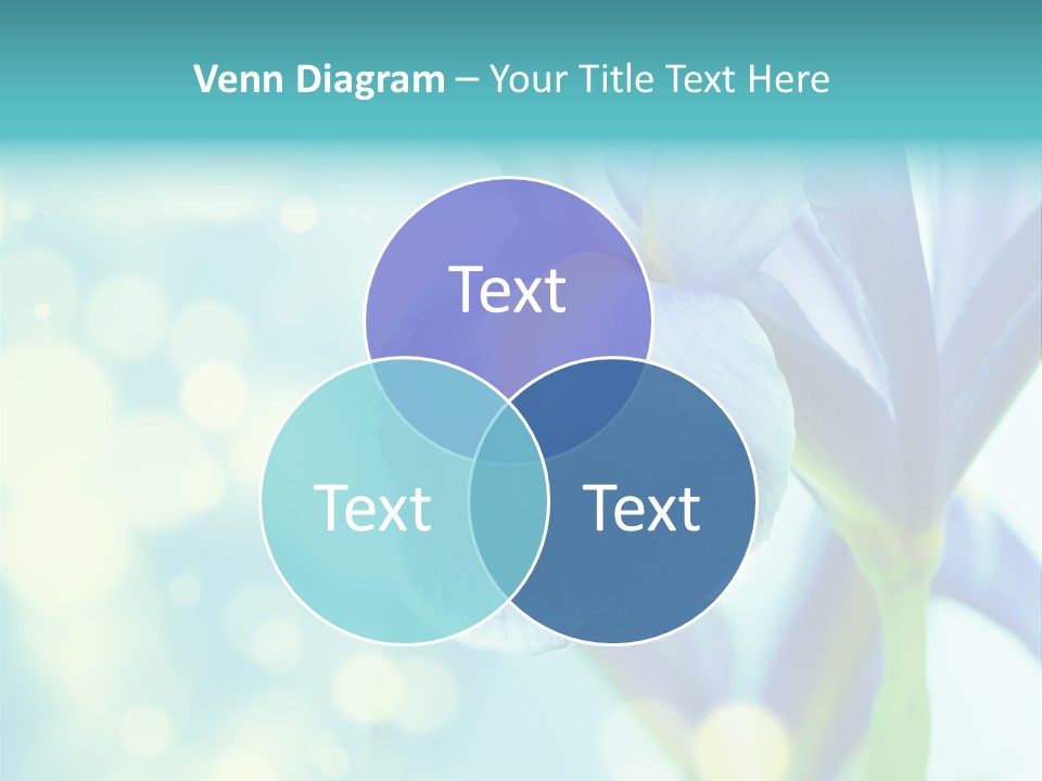 Blossom Bouquet Beauty PowerPoint Template