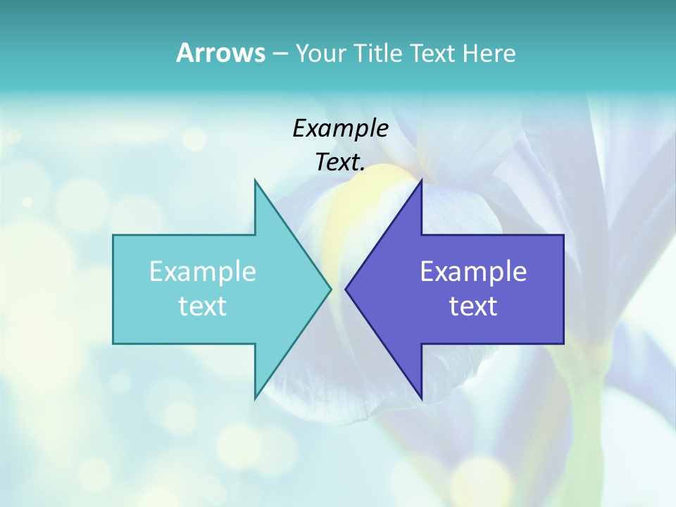 Blossom Bouquet Beauty PowerPoint Template