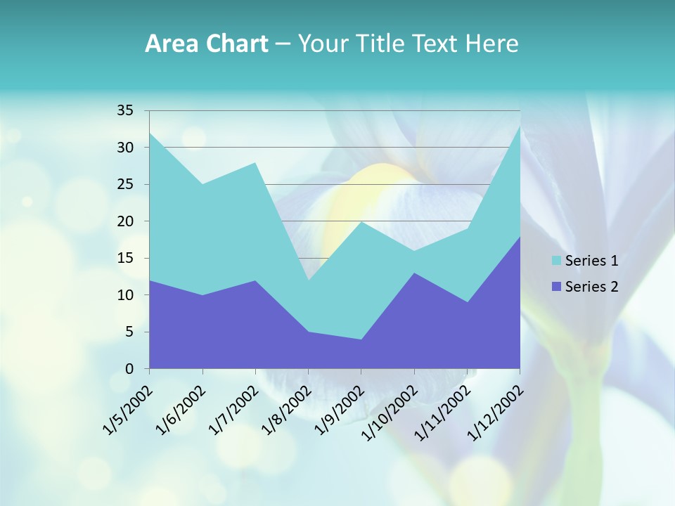 Blossom Bouquet Beauty PowerPoint Template
