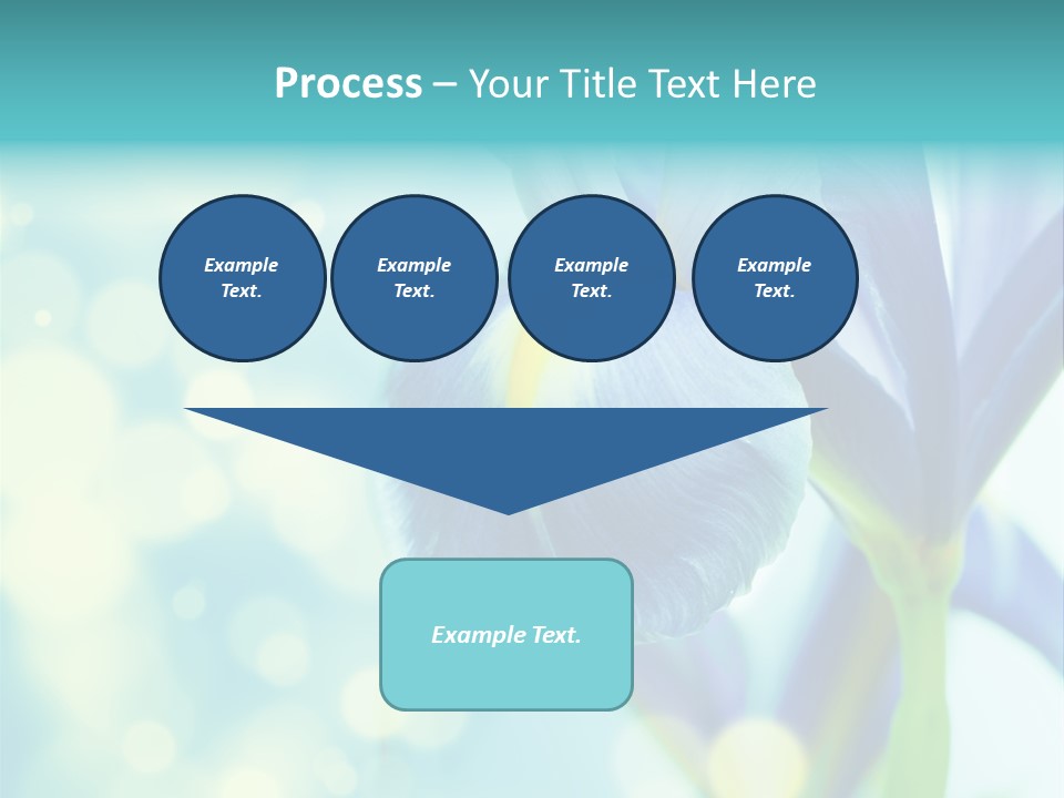 Blossom Bouquet Beauty PowerPoint Template