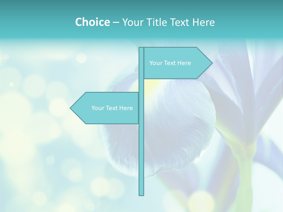 Blossom Bouquet Beauty PowerPoint Template