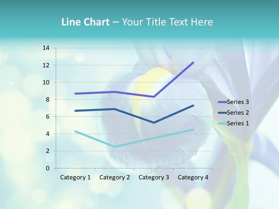 Blossom Bouquet Beauty PowerPoint Template