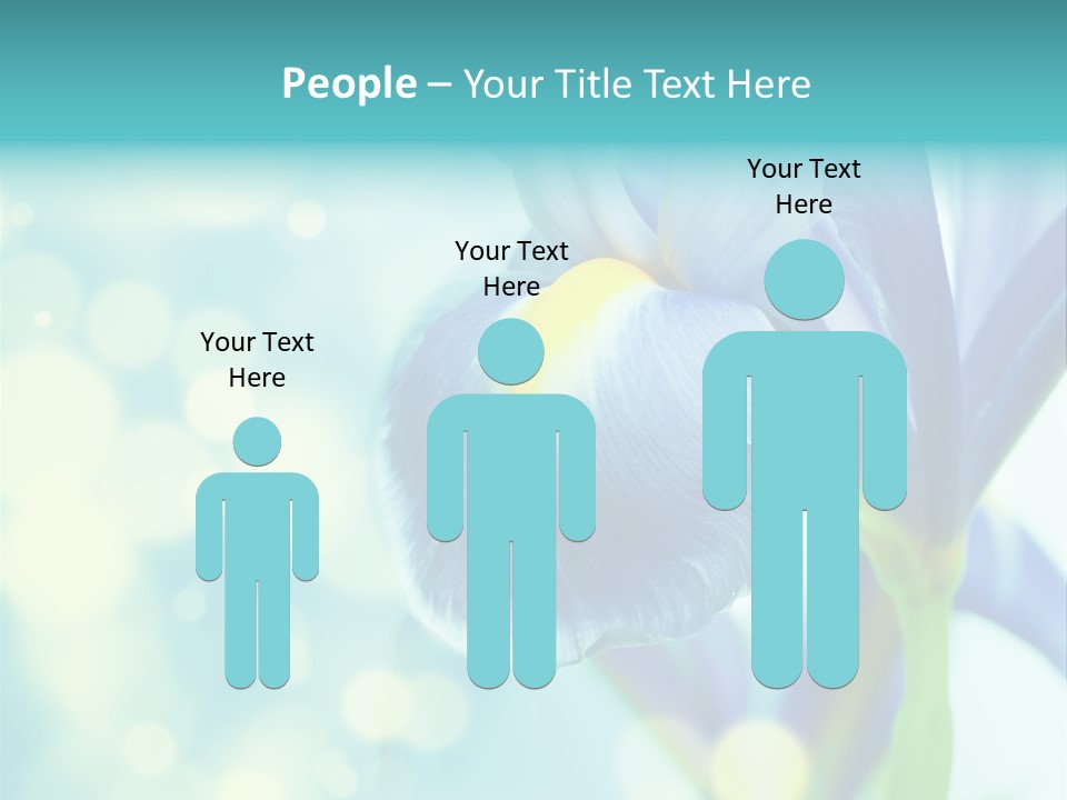 Blossom Bouquet Beauty PowerPoint Template