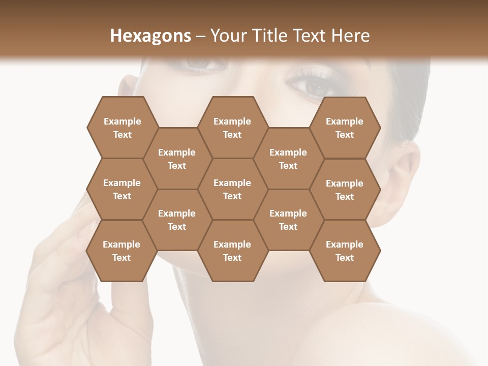 History Symbol Wing PowerPoint Template