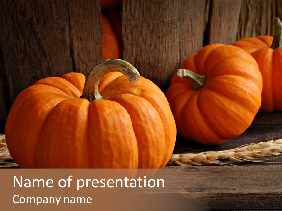 Harve T Macro Wood PowerPoint Template