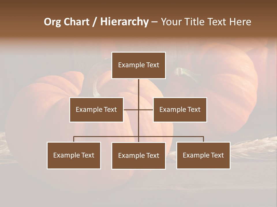 Harve T Macro Wood PowerPoint Template