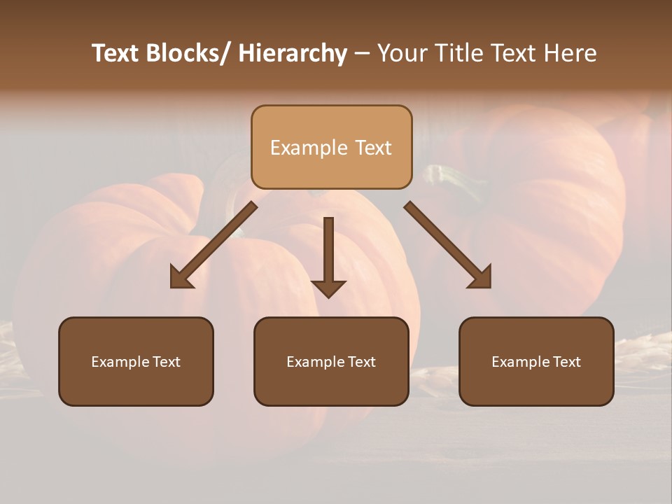 Harve T Macro Wood PowerPoint Template