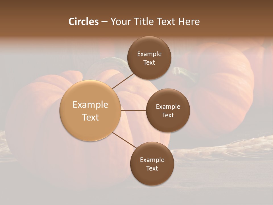 Harve T Macro Wood PowerPoint Template