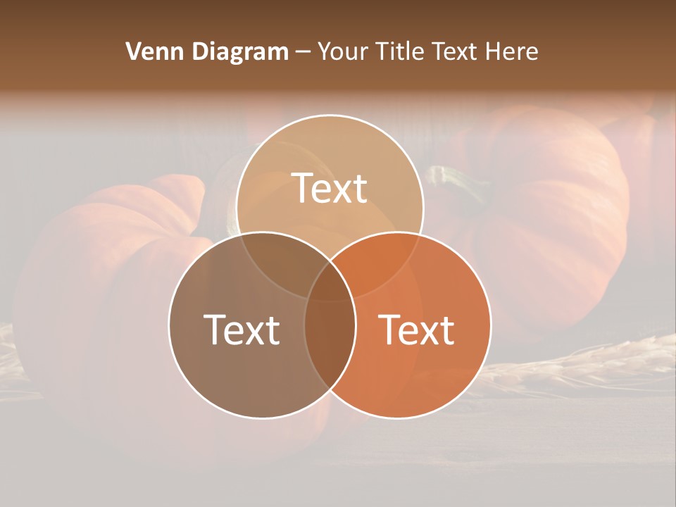 Harve T Macro Wood PowerPoint Template