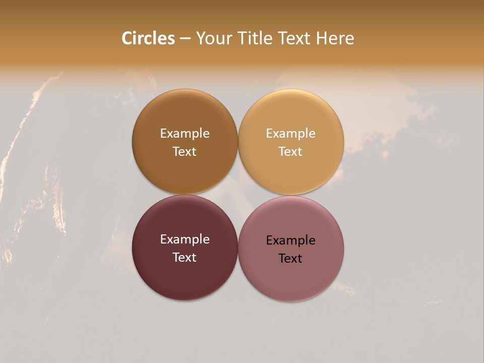 God Black Tender PowerPoint Template