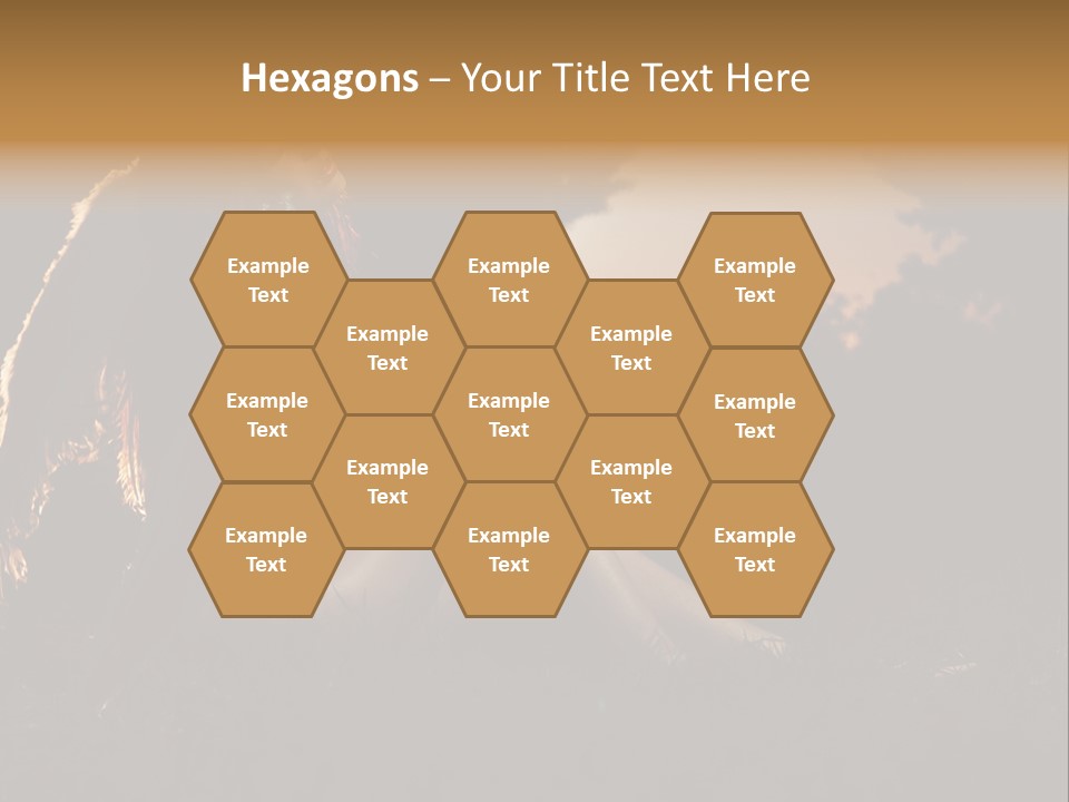 God Black Tender PowerPoint Template