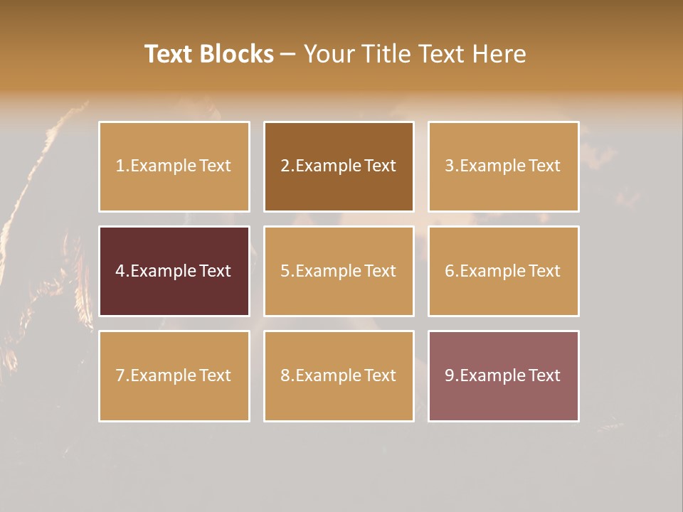 God Black Tender PowerPoint Template