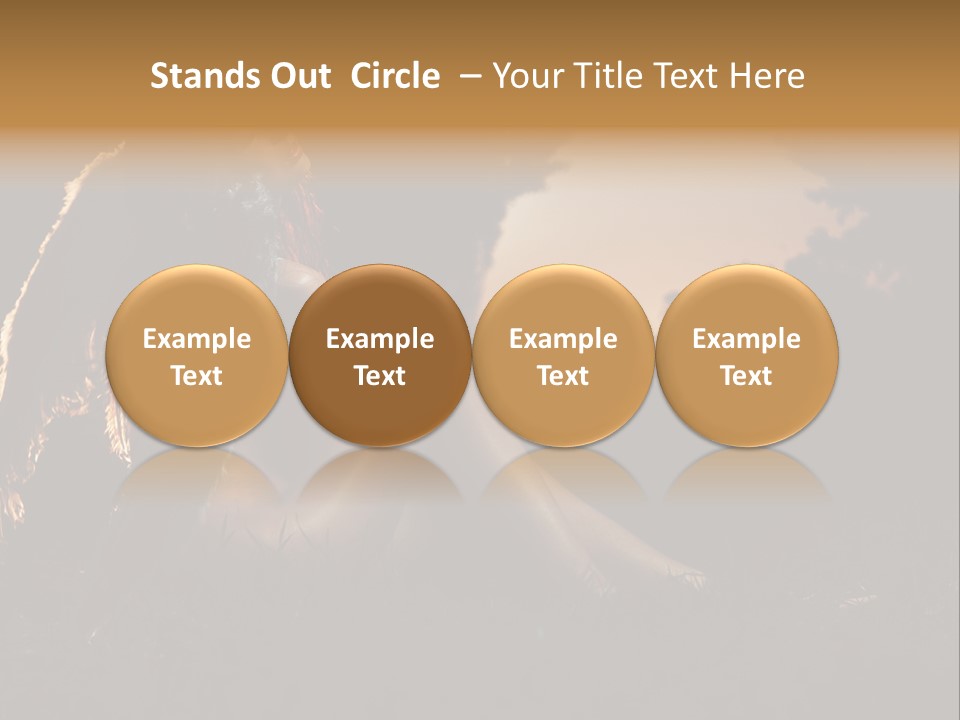 God Black Tender PowerPoint Template