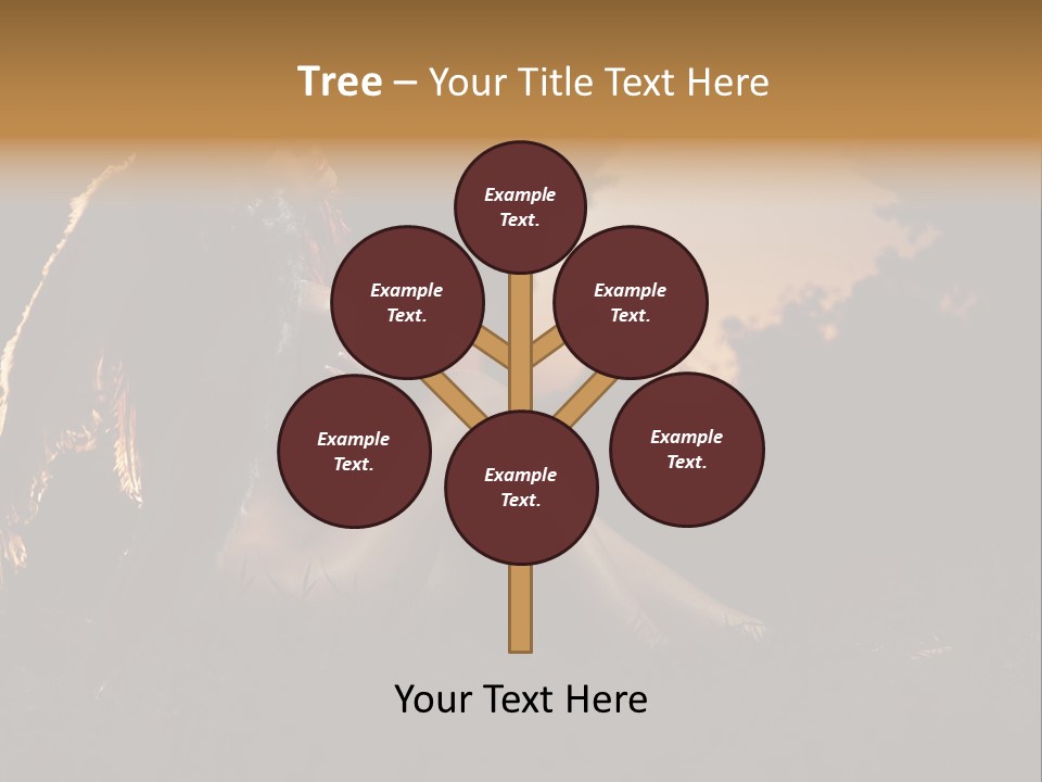 God Black Tender PowerPoint Template