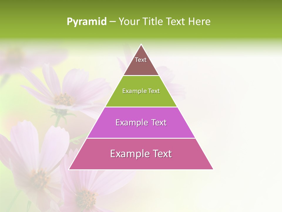 Card Nice Yellow PowerPoint Template