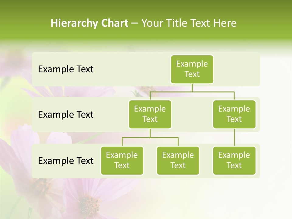 Card Nice Yellow PowerPoint Template