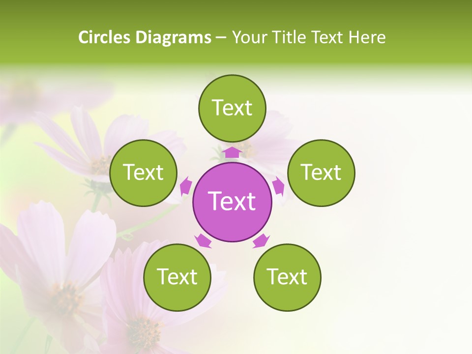 Card Nice Yellow PowerPoint Template