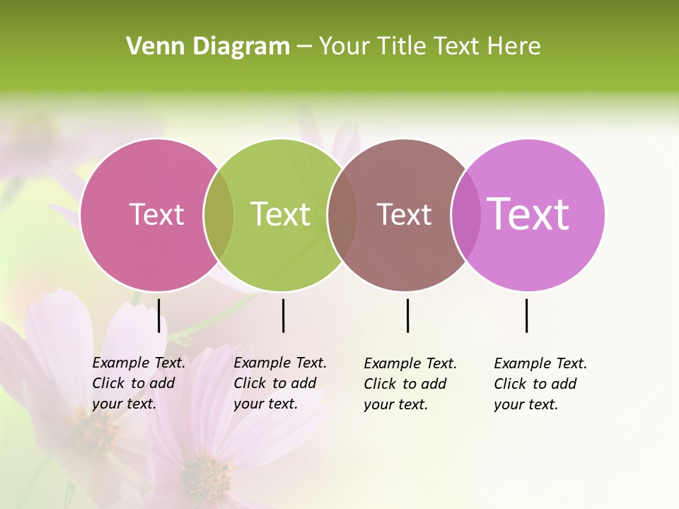 Card Nice Yellow PowerPoint Template