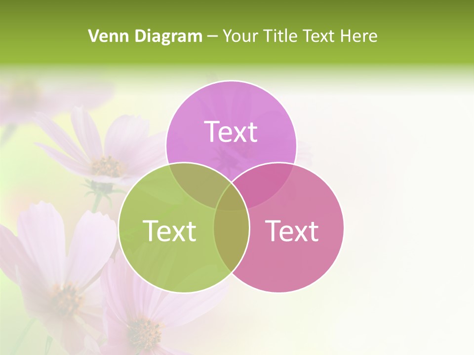 Card Nice Yellow PowerPoint Template