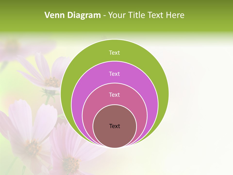 Card Nice Yellow PowerPoint Template