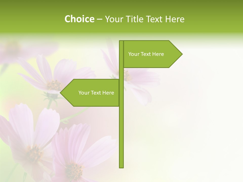 Card Nice Yellow PowerPoint Template