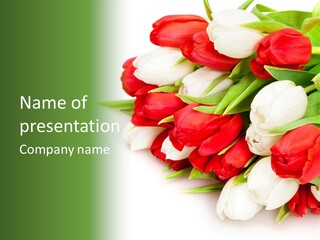 Plant Foliage Romance PowerPoint Template